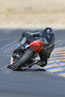 media/May-13-2023-SoCal Trackdays (Sat) [[8a473a8fd1]]/Turn 11 Backside (945am)/